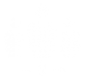 network solutions