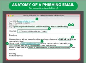 Anatomy of a Phishing Email